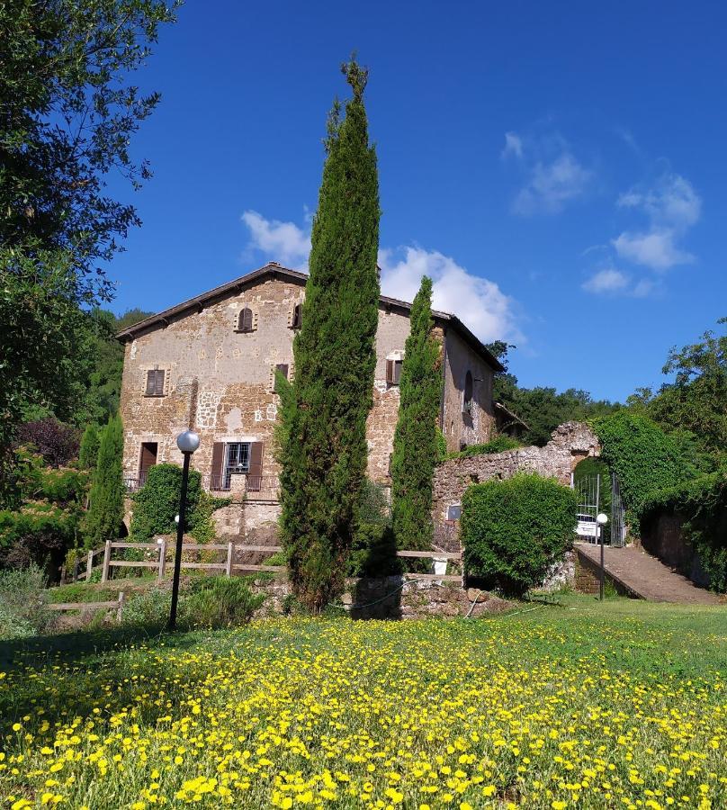 B&B Il Giardino Del Borgo Veiano Exterior photo